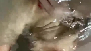 赛琳娜的黄金完整翻译版中文-直播 火辣身材的娜扎【沙滩上的贝壳酱】!
